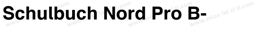 Schulbuch Nord Pro B字体转换